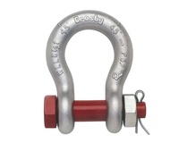 NBHC001SH Manilles d'ancrage de sécurité à usage intensif Bon prix et haute qualité Manille d'arc de type américain G2130