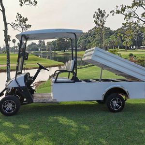 Chariot de golf à gaz 1-2 passagers Buggy Car Pickup Truck Certified EEC for Hunting Golf Courses - Product Image 1