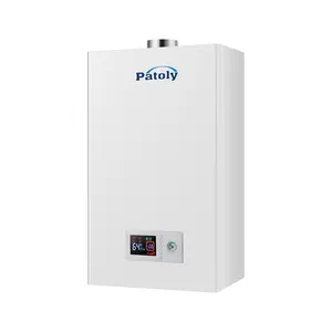 24KW domestico condensazione/piastra tipo di scambio caldaie gpl NG gas alimentato sistema di risparmio energetico acqua calda montato a parete Gas Combi