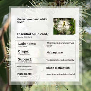 Huile Essentielle de <span class=keywords><strong>Niaouli</strong></span> de Madagascar en Gros, Grande Capacité 1kg, 100% Pure, Matière Première pour Soins de la Peau, Melaleuca Viridiflora, Aromathérapie - Product Image 2