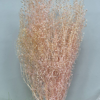 Fleurs séchées naturelles Lepidium Green Bell, garniture florale en forme de gousse de graines pour bouquets de mariage et arrangements décoratifs à domicile