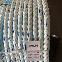 Cuerda Trenzada de PP de Alta Resistencia de 3 Hebras para Pesca y Amarre Marino, Empacada en Rollo