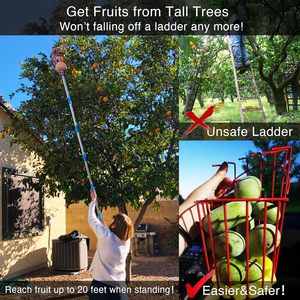 Herramienta <span class=keywords><strong>de</strong></span> poste <span class=keywords><strong>recogedor</strong></span> <span class=keywords><strong>de</strong></span> frutas con mango largo <span class=keywords><strong>de</strong></span> cesta, herramienta <span class=keywords><strong>de</strong></span> poste <span class=keywords><strong>recogedor</strong></span> <span class=keywords><strong>de</strong></span> naranja <span class=keywords><strong>de</strong></span> manzana ajustable <span class=keywords><strong>de</strong></span> 35-65 pulgadas con cesta - Product Image 5