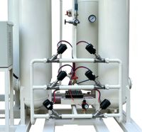 Générateur d'azote PSA industriel antidéflagrant pour la fabrication de peinture liquide inflammable