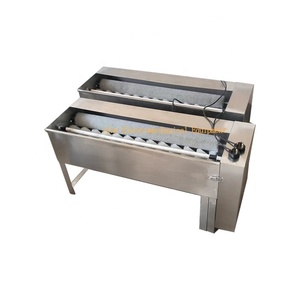 Máquina comercial de acero inoxidable para lavar huevos para panadería, de doble o una sola hilera, con motor para línea de montaje, máquina de limpieza de huevos. - Product Image 5