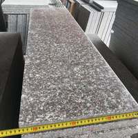 Bloc d'escalier et riser en granit de granit, nouvelle collection G664, pas cher