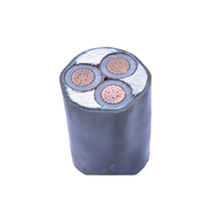 1,8/3kV 3,6/6kV Conductor de cobre XLPE Aislamiento Funda de PVC Cable no blindado de 3 núcleos