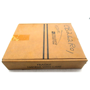 Module d'entrée analogique de niveau bas 61C613 16 points scellé Reliance Electric - Product Image 2