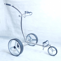 Carrito de golf eléctrico con control remoto y batería