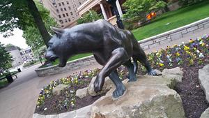 Bronzo moderno di alta qualità/ottone <span class=keywords><strong>pantera</strong></span> e ruggente scultura leopardo forma su misura in metallo fusione arte statua - Product Image 2