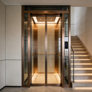 מעלית ביתית הידראולית מודרנית לוילה קטנה ודירה עם רצפת PVC וחסכון באנרגיה ופעולה שקטה - Product Image 2