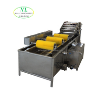 Hotsale QXJ Commerciële Groente- en Fruitwasmachine Industriële Belletjeswasser SUS304 RVS Motor-aangedreven Sojabonen Mais