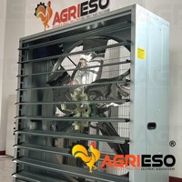 Ventilateur d'extraction push-pull de 36, 50 et 54 pouces pour l'élevage de poulets de chair et de poules pondeuses