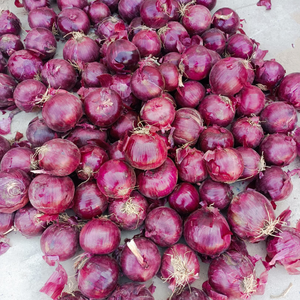 Cebollas Rojas Frescas de Yunnan, Calidad Premium, Certificación Global, Aroma Intenso, Sabor Dulce, Tamaño Pequeño 3-5cm/5-8cm, Bolsa de Malla de 10kg/20kg - Product Image 6