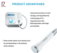 Electroporación Portátil en Oferta, Crioterapia Facial, Martillo Frío y Caliente para la Piel, Desintoxicación Ems, Rejuvenecimiento e Hidratación de la Piel