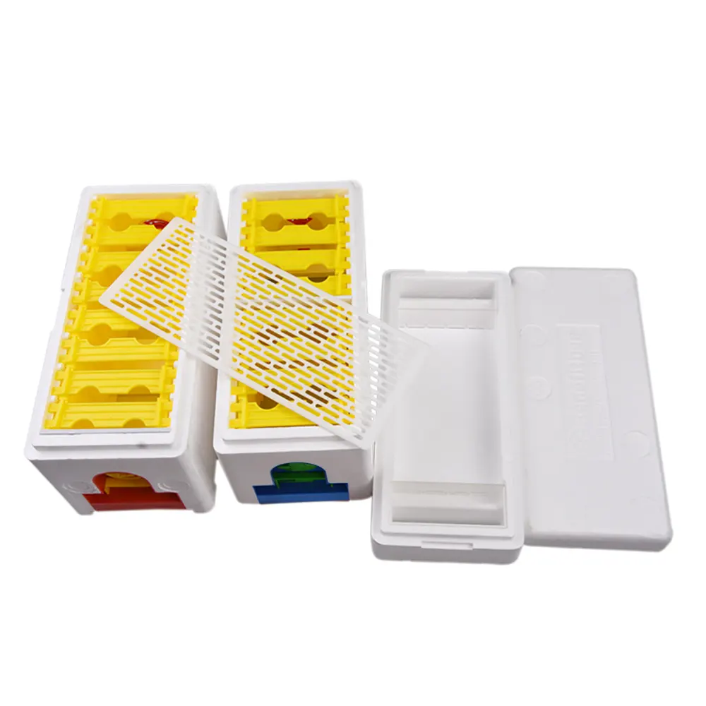 Bienenwerkzeuge EPS-Königin-Nuc-Schachtel mit 8 Framen Biene-Mini-Paar-Nuc Kunststoff-Bienenstock