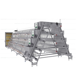 Système de cages à poulets entièrement automatiques de type A à 4 niveaux pour l'élevage avicole et la production d'œufs à haute densité - Product Image 6