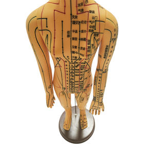 महिला एक्यूपंक्चर मॉडल मैनिकिन बिंदुओं के साथ चिकित्सा विज्ञान उत्पाद - Product Image 4