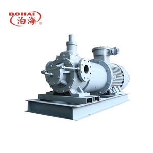 Bomba de aceite de paletas de alta resistencia BO HAI YB50-12 para diésel/gasolina/GLP, OEM personalizable, 5,3 kW, 1 año de garantía - Product Image 3