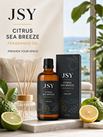 Huile parfumée Private Label Citrus Sea Breeze 120mL, arôme frais d'agrumes, diffuseur de parfum pour la maison, OEM ODM, fabricant sur mesure, vente en gros