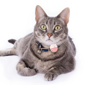 Eview-Collar <span class=keywords><strong>GPS</strong></span> 4G, rastreador de mascotas pequeñas, seguimiento de ubicación, historial de - Product Image 3
