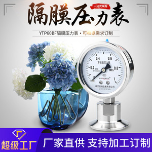 Mandril higiénico de acero inoxidable YTP60BF personalizado, resistente a los golpes, para aplicaciones alimentarias (abrazadera de 50.5 38 mm, presión de diafragma) - Product Image 5