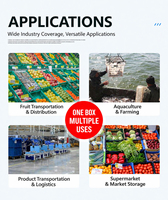 Caisses de stockage en plastique empilables pour la récolte et le stockage de fruits et légumes, idéales pour les tomates et les grandes productions agricoles