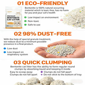Litière pour chat Benjie Eco-Friendly Corn Sand, qualité supérieure, multi-parfums, agglomération rapide, hautement absorbante, faible poussière, contrôle des odeurs - Product Image 3
