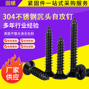 Black 304 Stainless Steel Phillips Countersunk Self Tapping Screws Metric Grade 8 For Metal Construction - Product Image 4