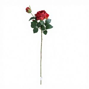 <span class=keywords><strong>Bouquet</strong></span> <span class=keywords><strong>de</strong></span> <span class=keywords><strong>fleurs</strong></span> artificielles haut <span class=keywords><strong>de</strong></span> gamme style européen Dela Show Rose Vintage à 2 têtes avec bords brûlés pour mariage et décoration intérieure - Product Image 1