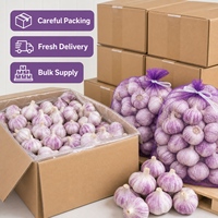 Ail frais à peau violette, naturel chinois, emballage personnalisé OEM, vente en gros en vrac, marque privée, carton et sac en filet sur mesure
