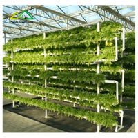 Système de serre hydroponique professionnel à canaux/gouttières de grande taille en promotion |   Solution NFT Commerciale pour Légumes à Feuilles Fortement Légères à Forte Demande