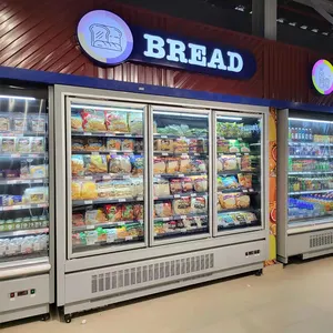 迪拜的立式冷冻商用冰箱设备