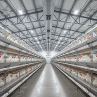Gallinero Modular Ecológico de Estructura de Acero, Edificio Prefabricado Inteligente para Granja Avícola, Nave Sostenible para Pollos de Engorde y Ponedoras