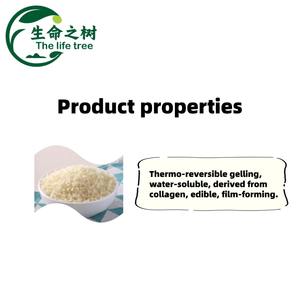 <span class=keywords><strong>Gélatine</strong></span> de pâtisserie de qualité supérieure, résistante à la chaleur, soluble, choix idéal pour la décoration de gâteaux, épaississant de qualité alimentaire - Product Image 2