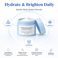 Nouvelle Arrivée Crème Visage Hydratante et Lissante à la Niacinamide, Acide Hyaluronique et Vitamine E, Anti-Teint Terne et Éclaircissante