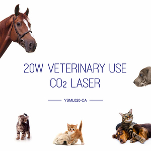 YSML020-CA Laser dokter hewan ysen, hewan peliharaan, penggunaan medis Ultrapulse CO2 terapi Laser Vet - Product Image 4
