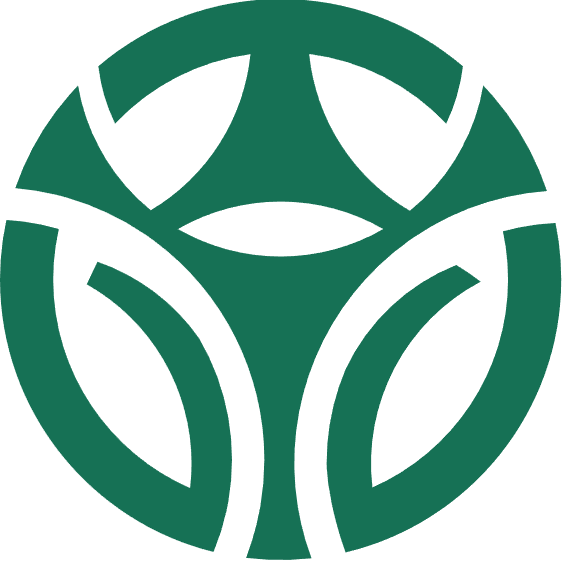 Henan Lvcci Electric Vehicle Manufacturing Co., Limited logo