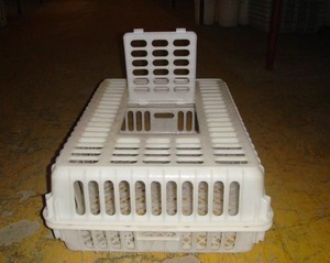 Caisses à poulets orange portables neuves et bon marché pour le transport <span class=keywords><strong>de</strong></span> volailles <span class=keywords><strong>vivantes</strong></span>, utilisation en abattoir, capacité <span class=keywords><strong>de</strong></span> 10 à 15 poulets - Product Image 5