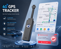 TY900 Traceur GPS 4G Mini, Dispositif de Suivi GPS 4G pour Voiture et Moto avec Tension Large Plage 9V-90V et Batterie 300mAh