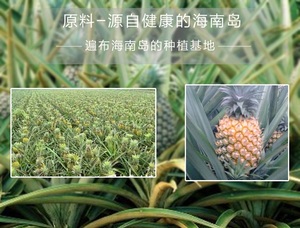 Doğal Glutensiz Koşer Sertifikalı Organik Ananas Tozu, Hazır Karışık Toz Poşet Meyve Suyu İçeceği İçin - Product Image 6