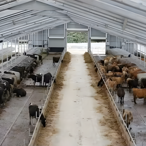 Q355 ASTM Structures en acier préfabriquées Prix concurrentiel Compartiments pour vaches laitières Léger Pliage Coupe soudée Bâtiment de ferme Atelier Entrepôt - Product Image 1