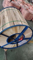 120mm ² 150mm 250mm ² 325mm ² Kupfer aluminium draht 500 650 MCM Kcmil THHN/THWN-2 600V Litzen kabel PVC-Isolierung zum Heizen