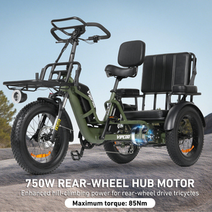 VIPCOO R1 750W 40AH Pasajero Tres Ruedas Triciclos Eléctricos de Acero Neumático Gordo Scooter de Movilidad Bicicleta Triciclo Eléctrico para Adultos - Product Image 4