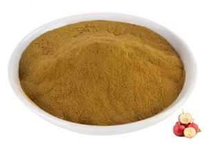 メーカーは、ホーソーンの葉とベリー抽出物に50% フラボノイド、ホーソーン抽出物粉末を供給しています - Product Image 2