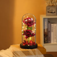 Cadeau de Saint-Valentin Deux Fleurs Éternelles Conservées sous Cloche en Verre avec Lumières LED Rose Éternelle Ornements Cadeau Fête des Mères Décoration Maison