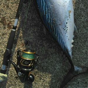 <span class=keywords><strong>Lurekiller</strong></span> <span class=keywords><strong>Saltist</strong></span> CW3000- CW10000 Moulinets Spinning Entièrement Métal pour Pêche en Mer et Jigging - Product Image 6