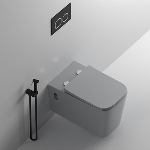 BTO Vente en gros articles sanitaires de luxe europe sans rebord couleur gris mat peu encombrant sanitario <span class=keywords><strong>WC</strong></span> suspendus muraux cuvette commode - Product Image 5
