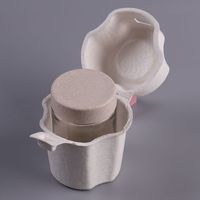 Pâte à papier emballage biodégradable moulé canne à sucre Fiber pâte bouteille en verre expéditeur boîtes d'emballage de protection moule pâte à papier boîte