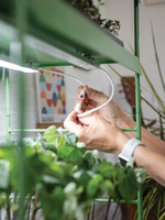 Vente chaude Agie Light Gardens Smart Home Produit LED magnétique élèvent des lumières
